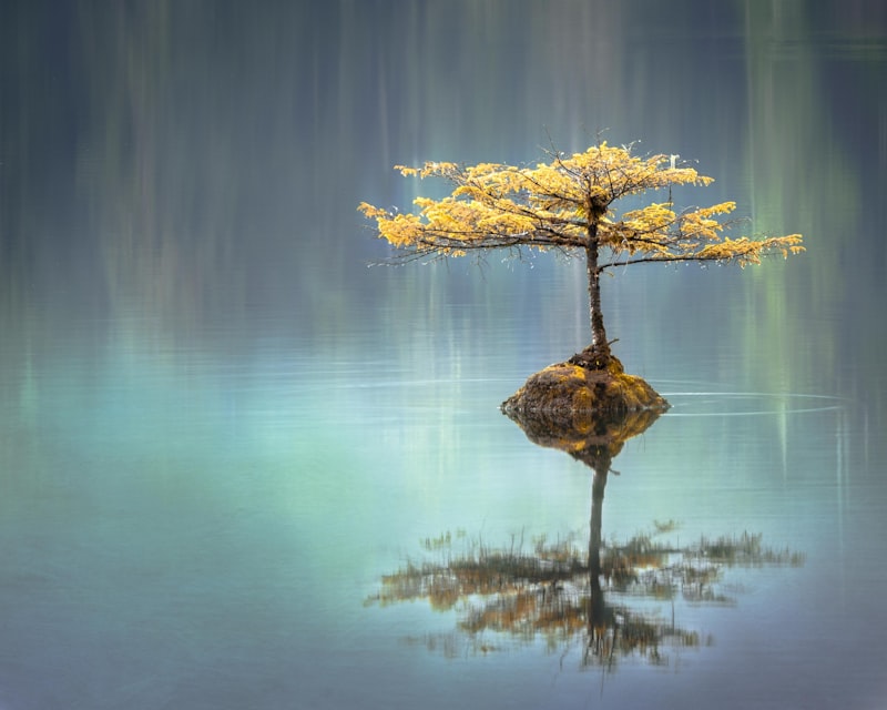 First Online Emdr Therapy Session